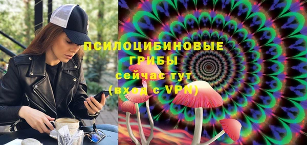 амф Кодинск