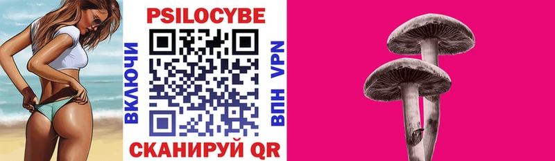 Купить закладки Мосальск Галлюциногенные грибы мицелий